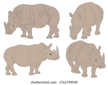 Set of realistic illustration of a rhino on clipart style in isolate on a white background. African animal. Vector illustration.