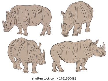 Set of realistic illustration of a rhino on clipart style in isolate on a white background. African animal. Vector illustration.