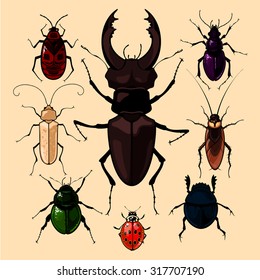 Set of realistic images of bugs, isolated on neutral background