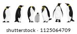 A set of realistic imperial penguins in different poses. Adult birds and chicks. Vector illustration, isolated on white background.