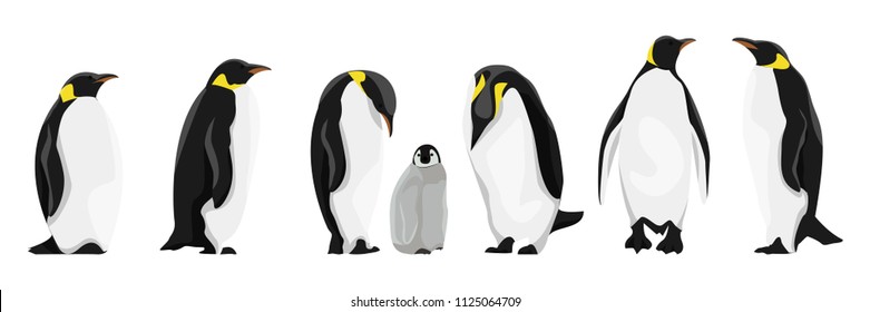 Penguin Royalty Free Stock SVG Vector and Clip Art