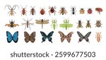 Set of realistic insects from above. Vector insects on a white background. Dragonfly, ant, fly, wasp, bee, mantis, butterflies, lice, flea, mosquito, tick.