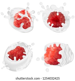 Set of realistic milk splashes together with raspberries isolated against a white background. Vector illustration.