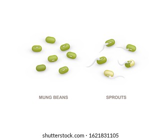 Set of realistic mung beans and sprouts for healthy eating. 3d render. Vector illustration isolated on white background.