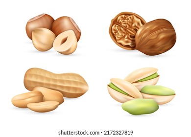 Set of realistic nuts peanut, pistachio, walnut and hazelnut seed, kernel and shell isolated on white background. Tasty fresh nuts icon. Vector illustration