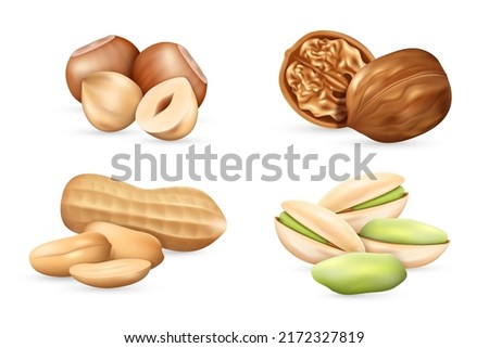 Set of realistic nuts peanut, pistachio, walnut and hazelnut seed, kernel and shell isolated on white background. Tasty fresh nuts icon. Vector illustration