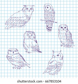 Set of a realistic owls on a tetrad sheet