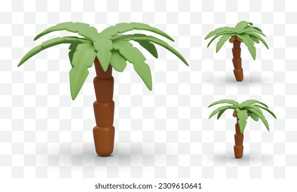 Set of realistic palm trees with coconuts. 3D icons of palmae from different sides. Tropical trees with shadows. Images for web pages about resorts, ocean vacations, tropical countries