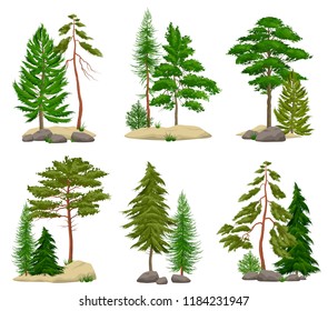 Set of realistic pine forest elements with conifer trees soil and boulders isolated vector illustration  