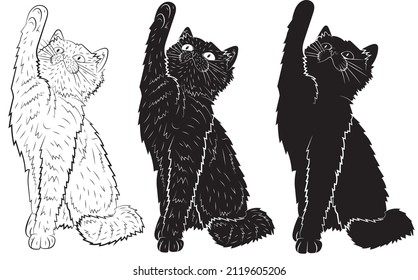 Set of Realistic playing  cat. vector illustration