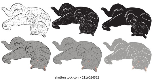 Set of Realistic playing  grey cat. vector illustration
