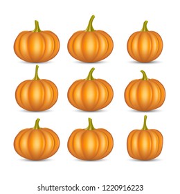 Set of realistic pumpkin, vector illustration.