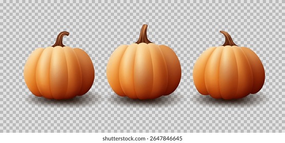 Set of realistic pumpkins. Vector realistic 3d orange pumpkins for autumn events or holiday decoration. Collection of 3d objects. Design elements isolated on checkered background.