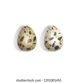 Set of Realistic quail eggs on white background, top view 3D vector graphics