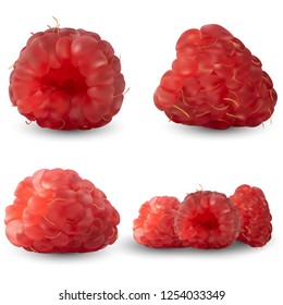 Set of realistic raspberries from different angles isolated against a white background. Vector illustration. Useful fruits, vitamins