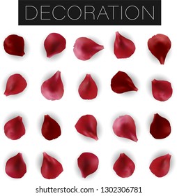 Set of realistic red rose or flower petals isolated on white background, leaf floral