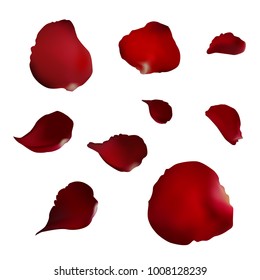 set of realistic red rose petals on white background for decorate, flower vector illustration