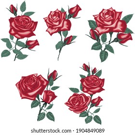 Set of Realistic red roses - Set of Realistic red roses