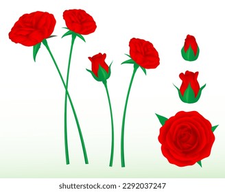 set realistic red roses flower isolated - 3d illustration