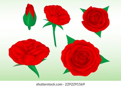 set realistic red roses flower isolated - 3d illustration