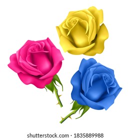 Set of realistic roses on a white background, isolated roses on a white background of pink, blue and yellow colors, vector Eps 10 illustration