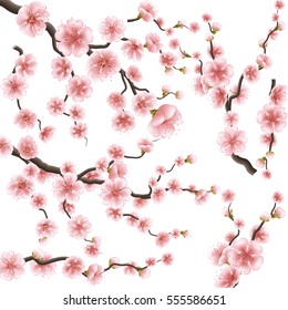 Set of realistic sakura japan cherry branch with blooming flowers. Nature background with blossom branch of pink sakura flowers. Template isolated on white background. EPS 10 vector file included