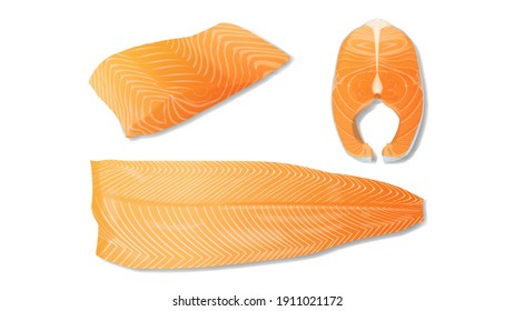 Set of realistic salmon fillet slices vector illustration isolated on white background