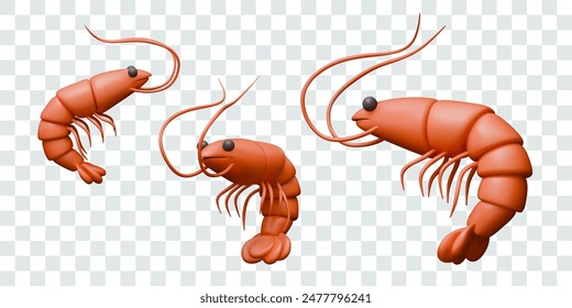 Set of realistic shrimps in different positions. Ingredients for seafood menu