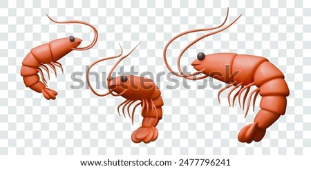 Set of realistic shrimps in different positions. Ingredients for seafood menu