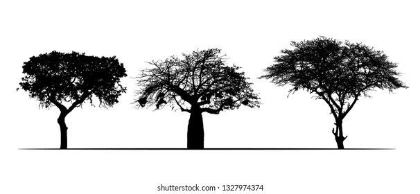 Conjunto de siluetas realistas de árboles de safari africanos, acacia y baobab. Aislado en fondo blanco - vector