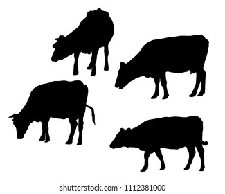 Set of realistic silhouettes of cow, isolated on white background - vector