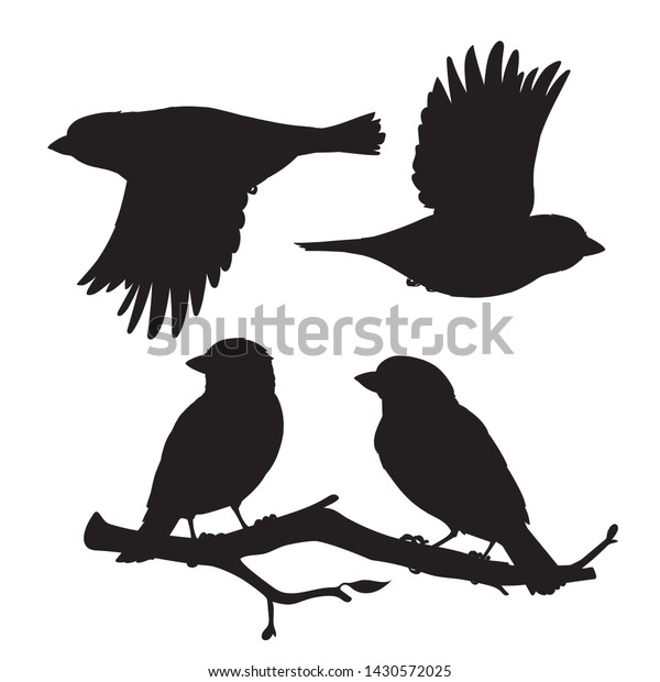 Set Realistic Sparrows Sitting On Branch Stock Vector (Royalty Free ...