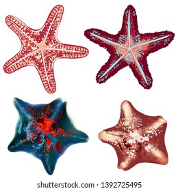 Set of realistic starfishes for design