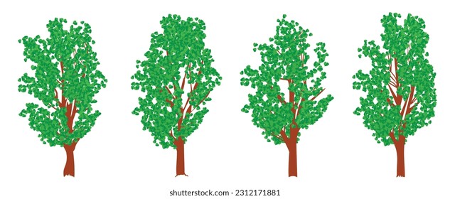 Set of realistic style trees isolated on white background. Vector illustration.