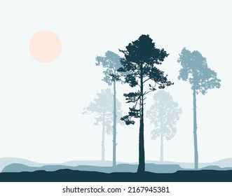 Set of Realistic Tall Pines Silhouettes. Composition of Coniferous Trees. Forest Landscape. Twilight Park or forest plantation. Vector illustration