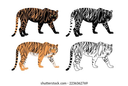 Set of realistic tigers in different poses. Animals. Big cats. Predatory mammals.