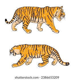 Set of realistic tigers in different poses and movement roaring. Animals of Asia, predatory mammals growling. Chinese lunar New Year 2022 symbol. Vector.