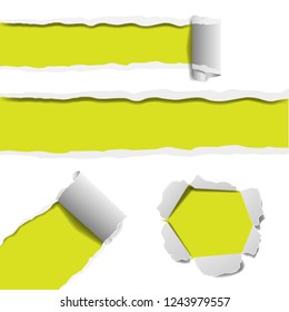 Set of realistic torn paper, torn and hole in white paper with blank space for your text. Vector illustration