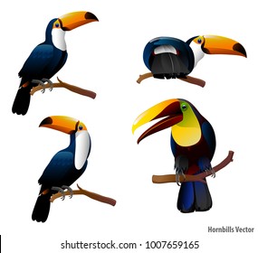 A set of realistic toucans and hornbills on branches. isolated on wihte background. vector illustration.
