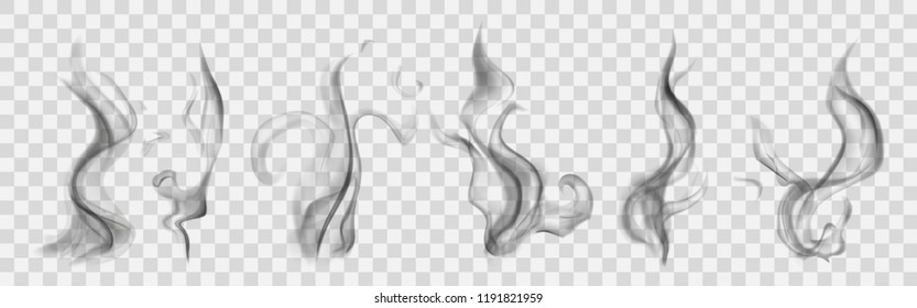 Set of realistic translucent smoke or steam in gray colors, isolated on transparent background. Transparency only in vector format