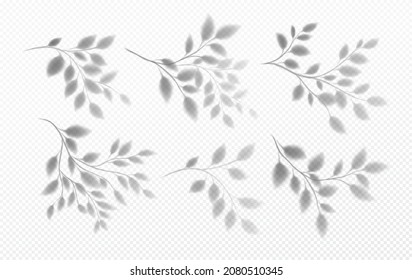 Set of Realistic transparent shadow of a tree branch with leaves isolated on a transparent background. Vector illustration EPS10