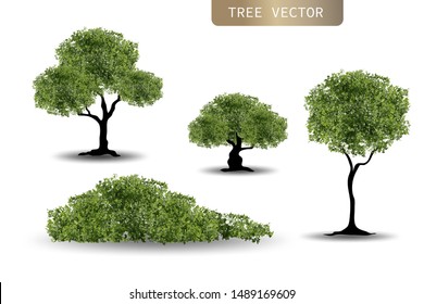 Set of Realistic trees on white background. Nutural design in EPS10 vector illustration.