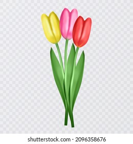 Set of Realistic tulips on transparent background. Vector format