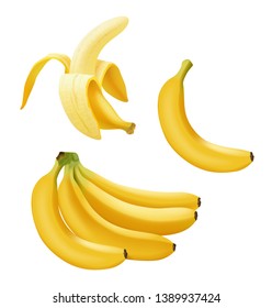 Set of realistic vector banana, branch of bananas, Half Peeled and single banana isolated on white, bright yellow sweet fruit, banana icon, vector illustration