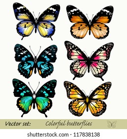 Set of realistic vector butterflies