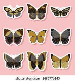 Set of realistic vector butterflies