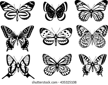 Set of realistic vector butterflies