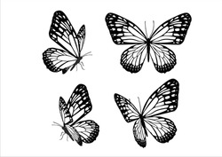Set Of Realistic Vector Butterflies. Collection Of Vintage Elegant Illustrations Of Butterflies. 10 Eps. Design Element For Your Project