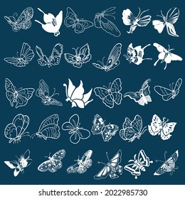 Set of realistic vector butterflies. Collection of vintage elegant illustrations of butterflies. 30 eps. Design element for your project.