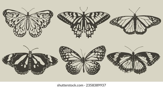 Set of realistic vector butterflies. Collection of vintage elegant illustrations of butterflies. Design element for your project.